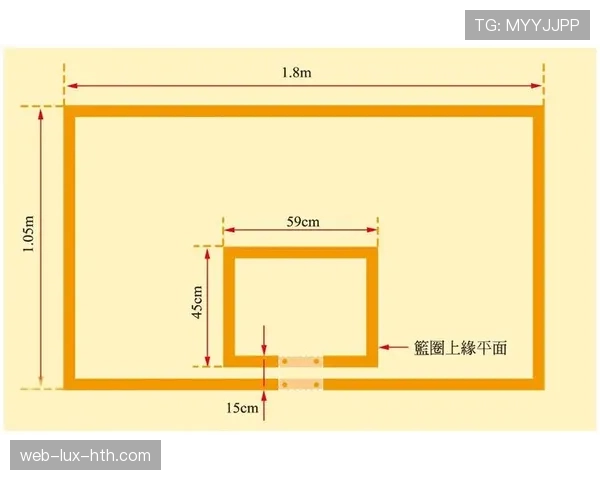 篮球规则详解：抢篮板犯规判定的具体依据